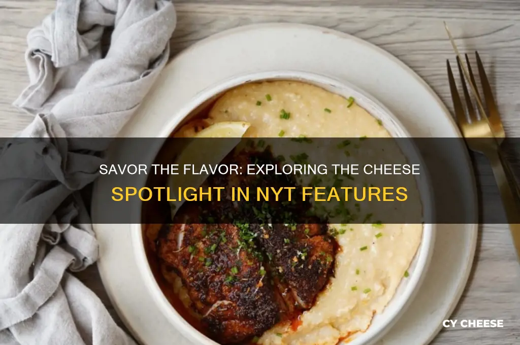 have some cheese nyt