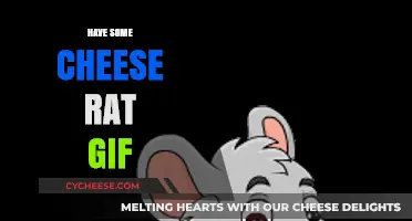 Cheesy Delight: Hilarious Rat GIFs to Brighten Your Day