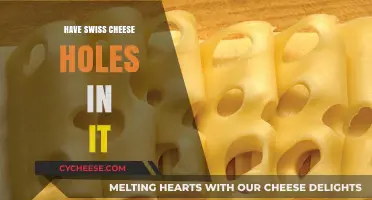 Swiss Cheese Holes: Why Do They Exist?
