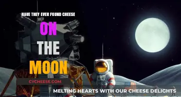Cheese on the Moon: Fact or Fiction? Exploring Lunar Legends