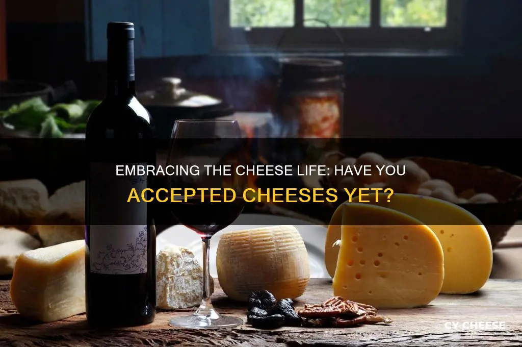 have you accepted cheeses