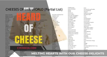 Have You Heard of Cheese? Exploring the World’s Beloved Dairy Delight