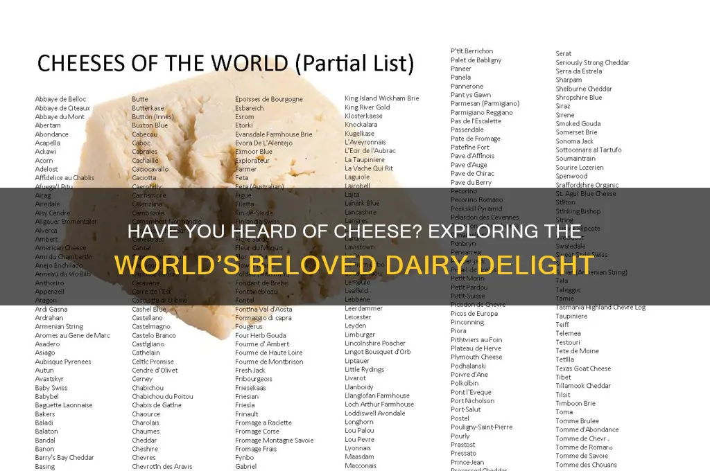 have you heard of cheese