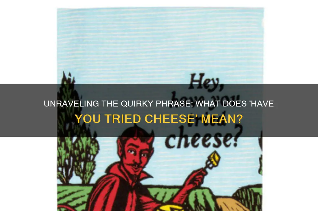 have you tried cheese meaning