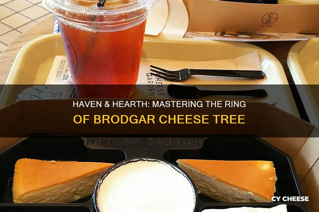 haven and hearth ring of brodgr cheese tree