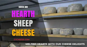 Crafting Creamy Sheep Cheese in Haven and Hearth: A Culinary Journey