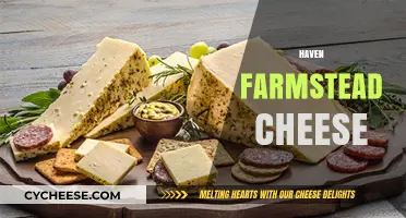 Discover the Rich Flavors of Haven Farmstead Cheese: A Culinary Journey