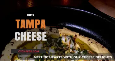 Discover Tampa's Hidden Gem: Haven's Artisan Cheese Delights