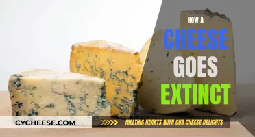 The Mystery of Disappearing Cheese: A Culinary Extinction