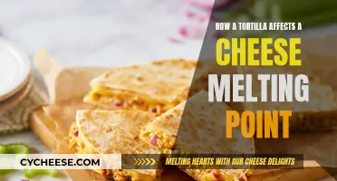Tortilla's Role in Melting Cheese: Science Behind It