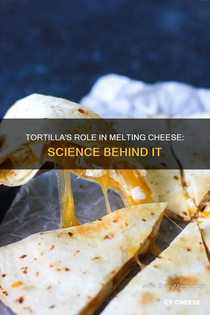 how a tortilla affects a cheese melting point
