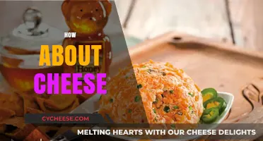 Exploring the World of Cheese: Types, Uses, and Delicious Recipes