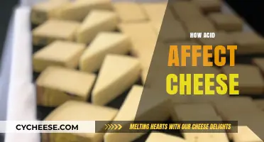 How Acid Transforms Cheese Texture, Flavor, and Melting Properties
