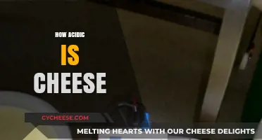 Exploring Cheese Acidity: Unveiling the Tangy Truth Behind Your Favorite Dairy