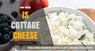 Cottage Cheese Acidity: Unveiling Its pH Level and Health Impact
