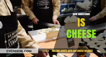 The Surprising Science Behind Cheese's Irresistible Addiction Factor