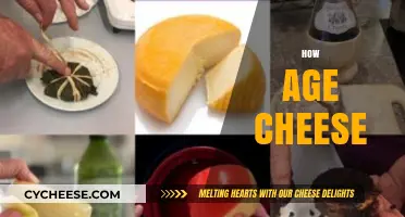 Mastering the Art of Aging Cheese: Tips for Perfect Flavor