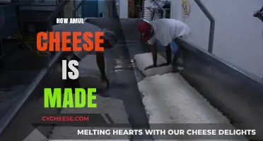 Unveiling the Magic: A Journey into Amul Cheese's Craftsmanship