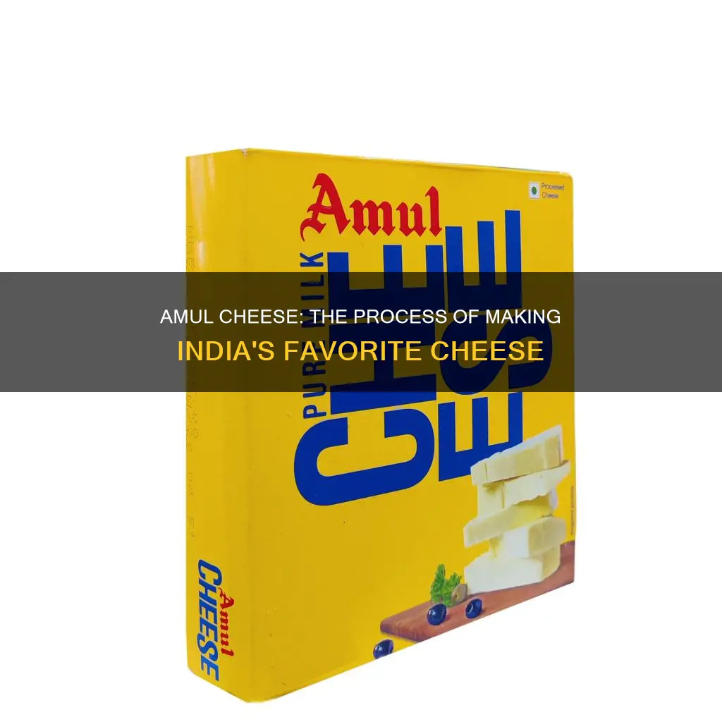 how amul cheese is made