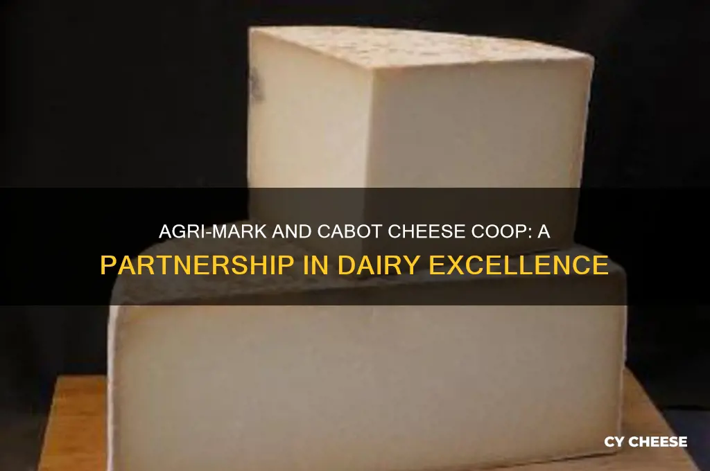 how are agri-mark cabot cheese coop related