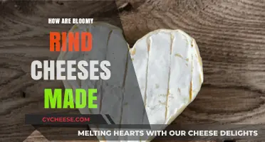 Unveiling the Art of Bloomy Rind: A Cheesy Journey