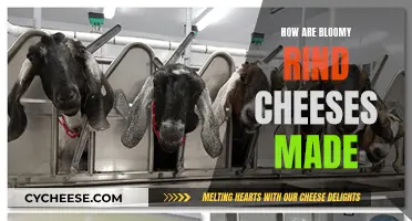 The Art of Making Bloomy Rind Cheeses