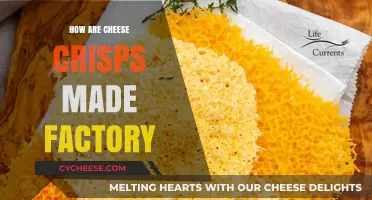 Cheese Crisps: From Farm to Factory: A Tasty Transformation