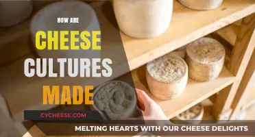 Unveiling the Art of Cheese Cultures: A Fermented Journey