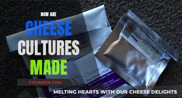 Cheese Cultures: How Are They Made?