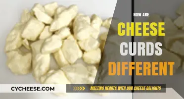Exploring the Unique Texture and Flavor of Cheese Curds