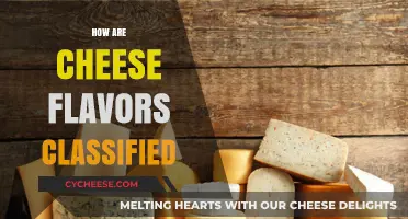 Exploring the Art of Cheese Flavor Classification: A Tasty Guide
