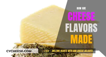 The Art of Cheese Flavoring: A Tasty Science