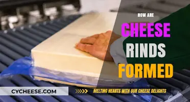 Understanding the Natural Process of Cheese Rind Formation and Types