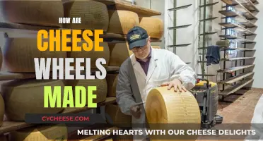 Crafting Cheese Wheels: The Art of Curd Transformation