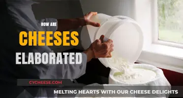 The Art of Cheese Making: A Step-by-Step Elaboration Guide