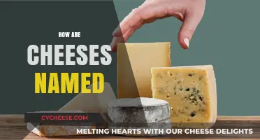 Unraveling the Origins: How Cheeses Get Their Unique Names