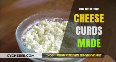 From Milk to Curds: The Simple Art of Making Cottage Cheese