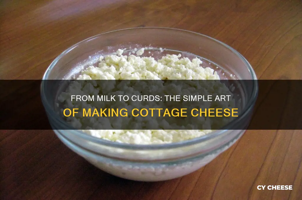 how are cottage cheese curds made