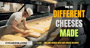 The Art of Cheesemaking: A Guide to Varied Techniques