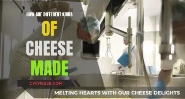 The Art of Cheesemaking: A Variety of Techniques