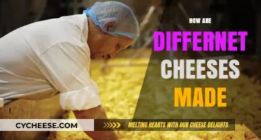 Unveiling the Art of Cheese: A Journey Through Global Techniques