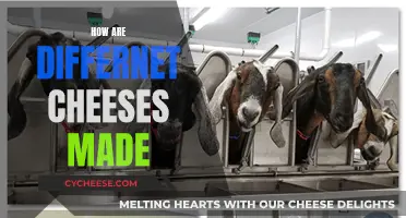 Cheese-Making Process: A Guide to Varied Techniques