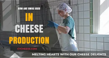 GMOs in Cheese: How Are They Used?