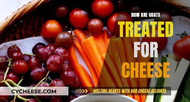 Goats' Cheese-Making Process: Caring for Goats