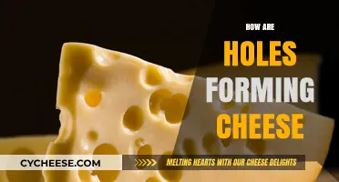 Unraveling the Mystery: How Holes Form in Cheese Naturally