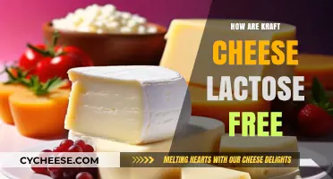 Kraft Cheese: Lactose-Free, But How?