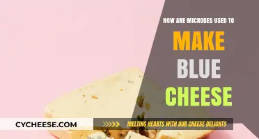 Microbes' Magic: Crafting Blue Cheese Delicacy