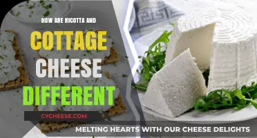 Ricotta vs. Cottage Cheese: Texture, Taste, and Culinary Uses Compared