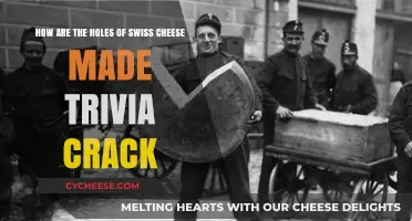 Unveiling Swiss Cheese's Holes: A Trivia Crack Adventure