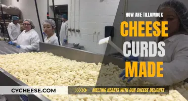 The Making of Tillamook Cheese Curds: A Step-by-Step Guide